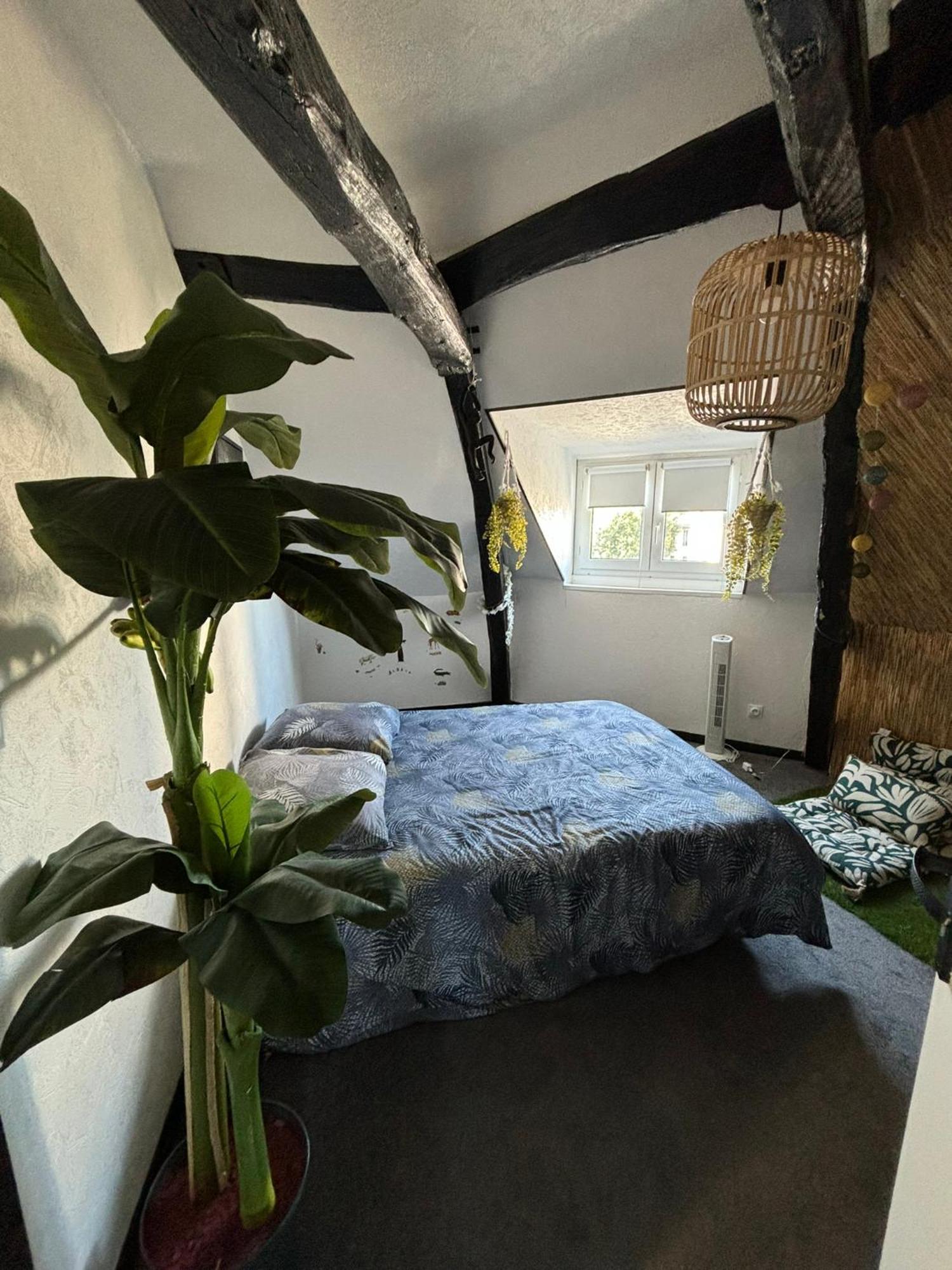 Jungle Cosy Apartment Louviers Ngoại thất bức ảnh
