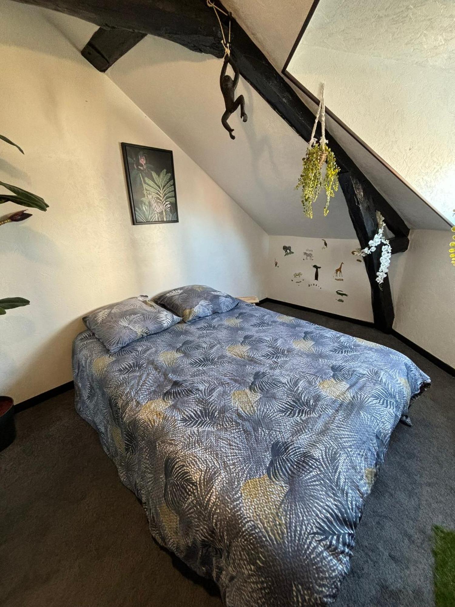 Jungle Cosy Apartment Louviers Ngoại thất bức ảnh