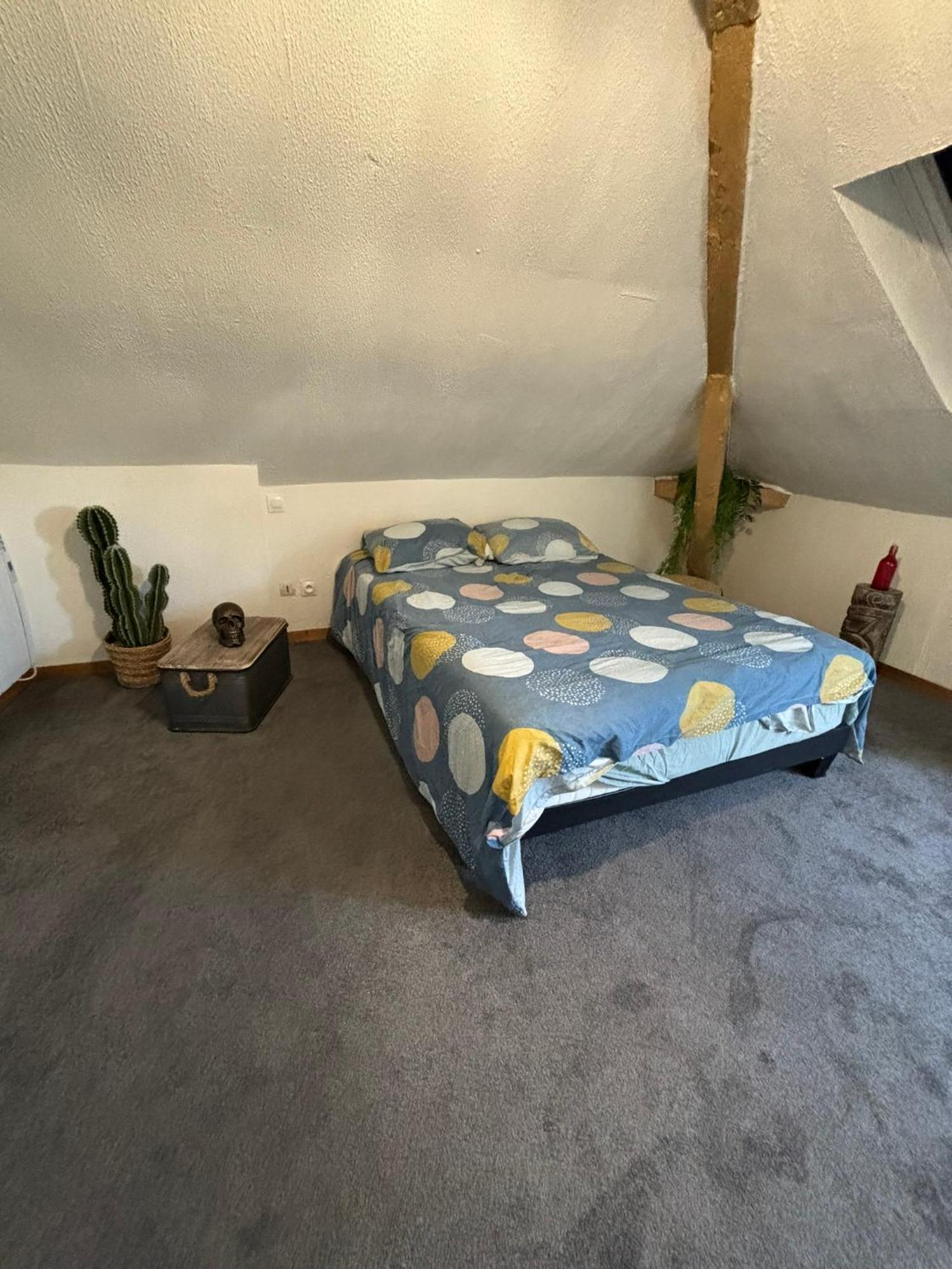 Jungle Cosy Apartment Louviers Ngoại thất bức ảnh