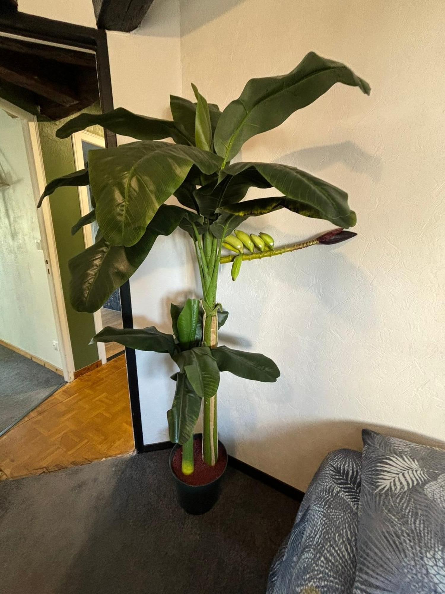 Jungle Cosy Apartment Louviers Ngoại thất bức ảnh