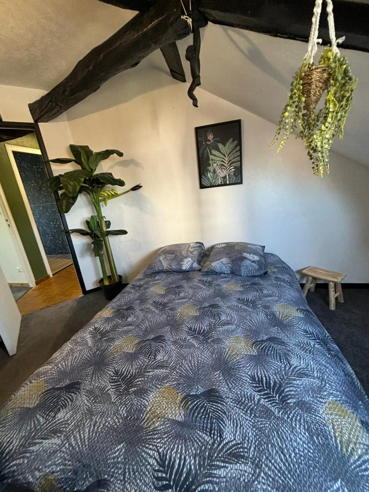 Jungle Cosy Apartment Louviers Ngoại thất bức ảnh