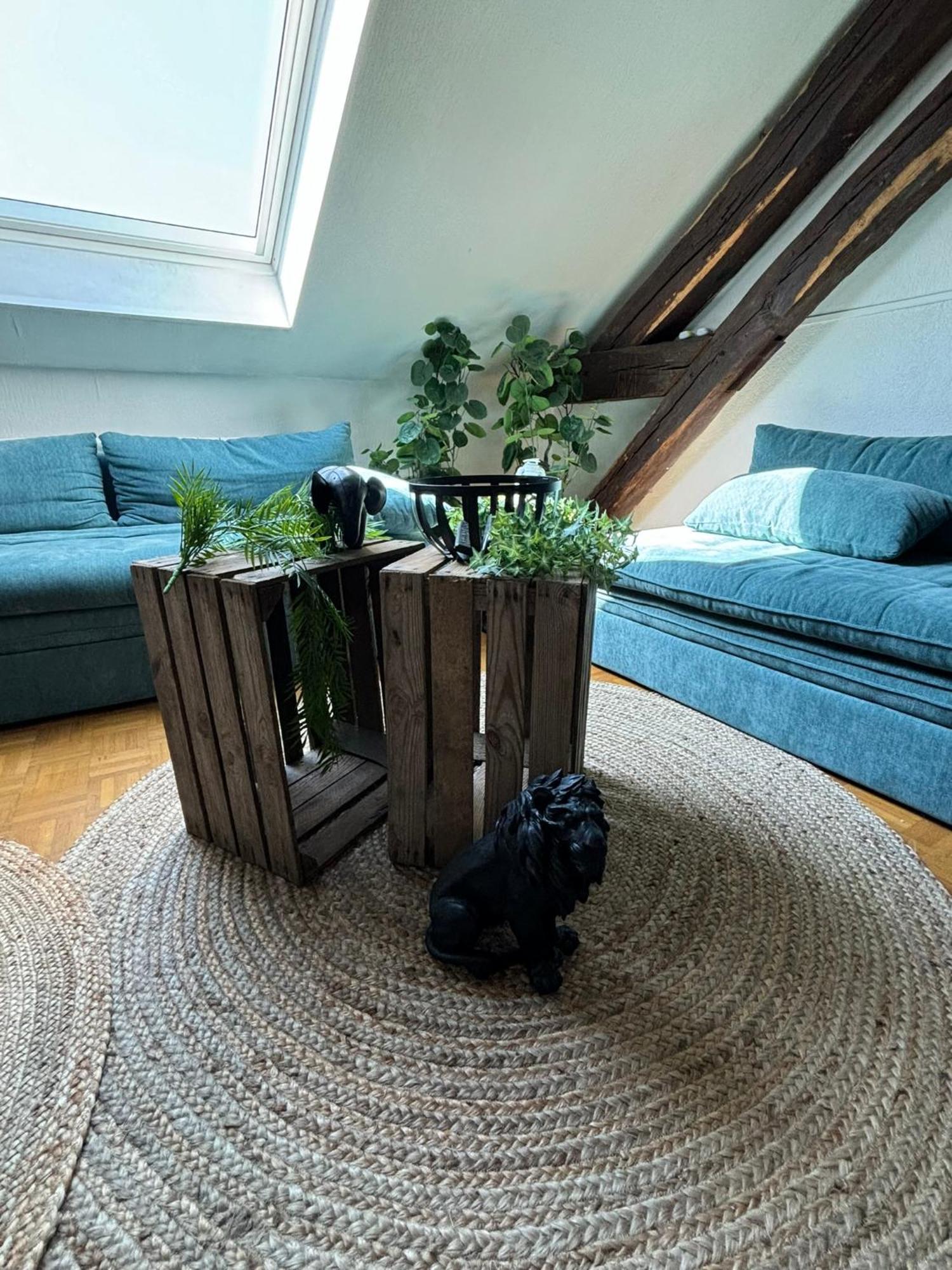 Jungle Cosy Apartment Louviers Ngoại thất bức ảnh